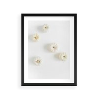 Plakat w ramie 50x70 - Biała Jesień: Dynie na Jasnym Tle - białe dynie, białe tło - rama czarna