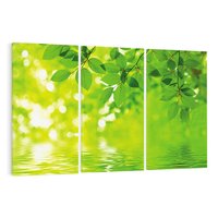 Obraz na płótnie 120x80 - Liście w Wodzie - liście, woda