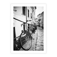 Plakat bez ramy 21x30 - Rower w Kontraście - rower, czarno