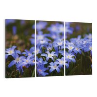 Obraz na płótnie 120x80 - Kwiatowy raj w naturze - kwiat, kwiaty