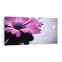 Obraz na płótnie 120x60 - kwiatowa harmonia - kwiat, SPA