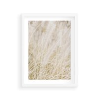 Plakat w ramie 30x40 - Białe Trawy Pampas - suche trawy, białe trawy - rama biała
