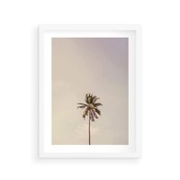 Plakat w ramie 30x40 - Samotna Palma pod Niebem - samotna palma, na tle nieba - rama biała