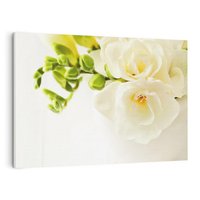 Obraz na płótnie 120x80 - Subtelność białych frezji - frezja, białe