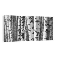 Obraz na płótnie 120x60 - Kontrast Monochromatyczny - brzozy, czarno