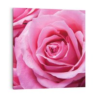 Obraz na płótnie 80x80 - Róża Wspaniałości - róża, kwiat