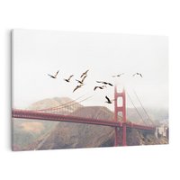 Obraz na płótnie 70x50 - Mewy przy Złotej Bramie - mewy, Golden Gate