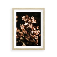 Plakat w ramie 50x70 - Hortensja - Suchy Kwiat w Sztuce - hortensja, suchy kwiat - rama drewno