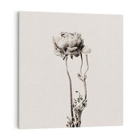 Obraz na płótnie 80x80 - Cień Kwiatowej Delikatności - kwiat, cień