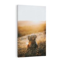 Obraz na płótnie 80x120 - Podróżniczy bukiet na łące - plecak, podróż