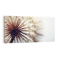 Obraz na płótnie 120x60 - Makro piękno dmuchawca - makro, dmuchawiec