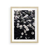 Plakat w ramie 40x50 - Białe Kwiaty na Kwitnącym Krzewie - białe kwiaty, kwitnący krzew - rama drewno