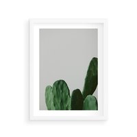 Plakat w ramie 40x50 - Majestatyczne Wysokości - kaktusy, liście - rama biała