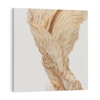 Obraz na płótnie 60x60 - Suszone piękno - susz, suche