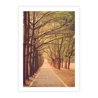 Plakat bez ramy 21x30 - Wędrówka między drzewami - droga, drzewa