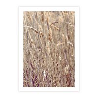 Plakat bez ramy 30x40 - Suche Trawy w Wyjątkowym Stylu - suche trawy, boho styl