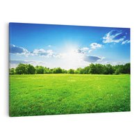 Obraz na płótnie 70x50 - Idylla na łące drzew - łąka, drzewa