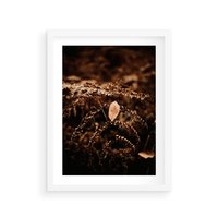 Plakat w ramie 30x40 - Gałęzie i Liść w Brązowej Tonacji - suche gałęzie, liść - rama biała