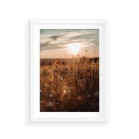 Plakat w ramie 40x50 - Zachwyt zachodem słońca na łące - zachód, słońca - rama biała