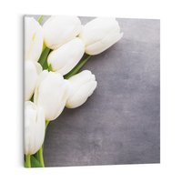 Obraz na płótnie 80x80 - Tulipanowa Kolorystyka - tulipany, kwiaty