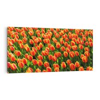 Obraz na płótnie 140x70 - Tulipanowa eksplozja - tulipany, kwiaty