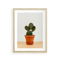 Plakat w ramie 50x70 - Kwiatowy taniec kaktusa - kaktus, kwiat - rama drewno