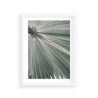 Plakat w ramie 50x70 - Jasnozielony Świat - palma, liść - rama biała
