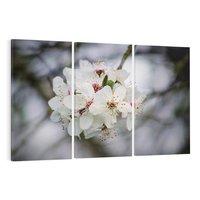 Obraz na płótnie 120x80 - Kwiatowa harmonia w tonacji pastelowej - kwiat, kwiaty