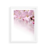 Plakat w ramie 50x70 - Kwitnąca Wiśnia - kwiaty, kwitnącej - rama biała