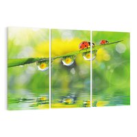 Obraz na płótnie 120x80 - Deszczowa Biedronka - biedronka, deszcz