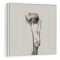 Obraz w ramie 50x50 - Kwiatowa Symfonia w Szarościach - czarno biała odbitka, jak fotografia - rama biała