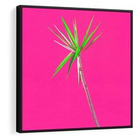 Obraz w ramie 50x50 - Retro Stylizacja - palma, liście - rama czarna