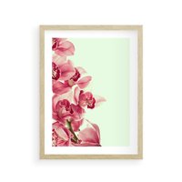 Plakat w ramie 40x50 - Orchidea - delikatne kwiaty - orchidea, kwiaty - rama drewno