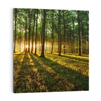 Obraz na płótnie 40x40 - Mistyfikujący urok leśnej głuszy - las, drzewa