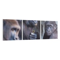 Obraz na płótnie 120x40 - Małpy w ich naturalnym środowisku - małpy, szympansy