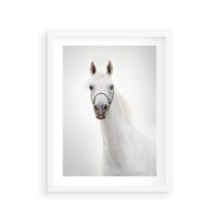 Plakat w ramie 30x40 - Elegancja białego konia - biały, koń - rama biała