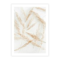 Plakat bez ramy 21x30 - Pampas w Stylu Boho: Kompozycja Natury - suche trawy, pampas