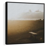 Obraz w ramie 50x50 - Mglisty zachód słońca na ławeczce - mgła, zachód - rama czarna