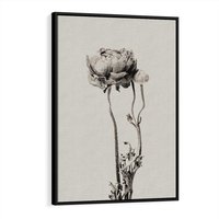 Obraz w ramie 50x70 - Kwiatowa Symfonia w Szarościach - czarno biała odbitka, jak fotografia - rama czarna