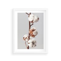 Plakat w ramie 50x70 - Spokojna Gałązka Bawełny - gałązka bawełny, prosta spokojna fotografia - rama biała