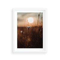 Plakat w ramie 30x40 - Spokój łąki pod zachodem słońca - zachód, słońca - rama biała