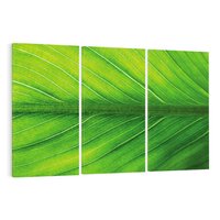 Obraz na płótnie 120x80 - Abstrakcja: interpretacje w liściach - liść, abstrakcja