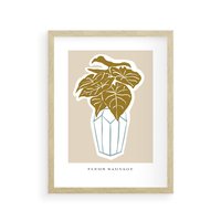 Plakat w ramie 50x70 - Rytmy Nowych Wizji - abstrakcyjne liście, tropikalne w wazonie - rama drewno
