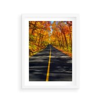 Plakat w ramie 30x40 - Droga przez jesienny las - droga, las - rama biała