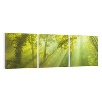 Obraz na płótnie 150x50 - drzewa w harmonii - las, drzewa