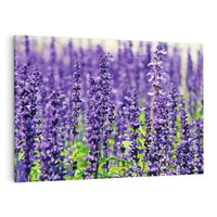 Obraz na płótnie 120x80 - Lawendowa Mgła - lawenda, kwiat