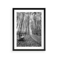 Plakat w ramie 30x40 - Spadające Liście - czarno białe zdjecie, park - rama czarna