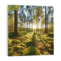 Obraz na płótnie 60x60 - Obfitość natury - las, drzewa
