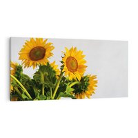Obraz na płótnie 100x50 - Słoneczna Radość - fotografia, żółte słoneczniki