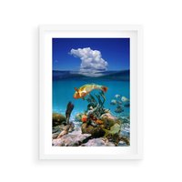 Plakat w ramie 50x70 - Podwodna rafa koralowa: kolorowy oceanowy świat - rafa, koralowa - rama biała